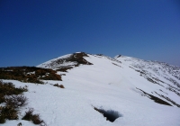 20110410_tairappiyo05