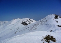 20110410_tairappiyo06
