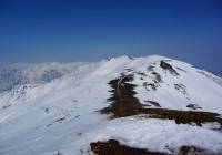 20110410_tairappiyo07