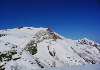 20110410_tairappiyo11
