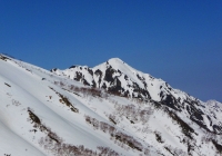 20110410_tairappiyo12