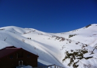 20110410_tairappiyo13