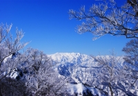 20110417_hakkaisan007