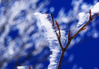 20110417_hakkaisan017