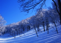 20110424_makihatayama001
