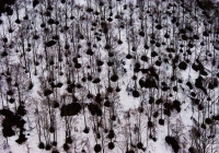 20110503_komagatake013