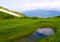 20110709_asakusadake006