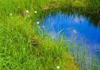 20110709_asakusadake007