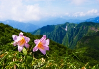 20110709_asakusadake008