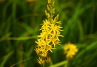 20110724_oze006