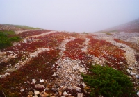 20110910_shiroumadake002