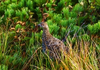 20110910_shiroumadake019