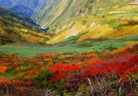 20111002_asahidake008