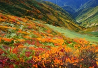 20111002_asahidake011