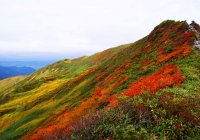 20111002_asahidake012