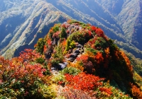20111009_daigenta001