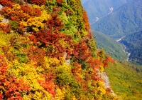 20111009_daigenta004