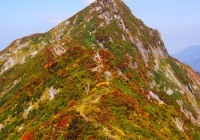 20111009_daigenta005