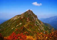 20111009_daigenta006