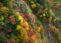 20111020_hakkaisan002