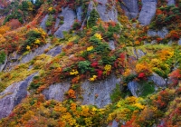 20111020_hakkaisan004