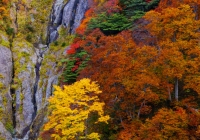 20111020_hakkaisan006