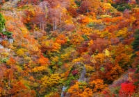 20111020_hakkaisan008