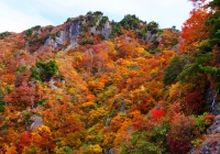 20111020_hakkaisan009