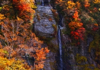 20111020_hakkaisan013