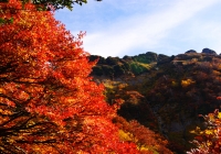 20111020_hakkaisan014