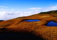 20111112_makihatayama001