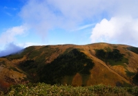 20111112_makihatayama006