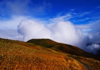 20111112_makihatayama009