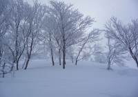 20120219_shimogongen003