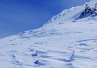 20120304_hakkaisan008