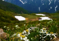 20120624_asahidake014