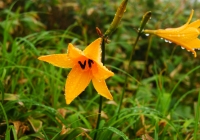 20120714_makihatayama001