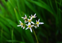 20120714_makihatayama003