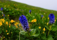 20120716_shiroumadake011