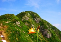 20120728_nakanodake-tanngo005