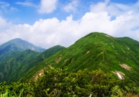 20120728_nakanodake-tanngo008