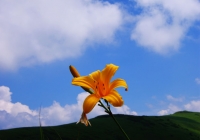 20120728_nakanodake-tanngo011
