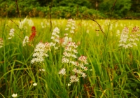 20120902_naebasan001