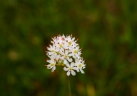20120902_naebasan003