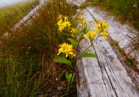 20120902_naebasan004