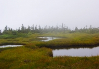 20120902_naebasan006