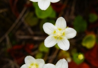 20120902_naebasan009