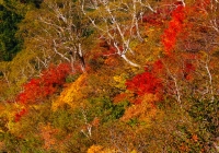20121008_hiuchiyama015