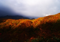 20121021_echigokomagatake003