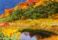 20121021_echigokomagatake007